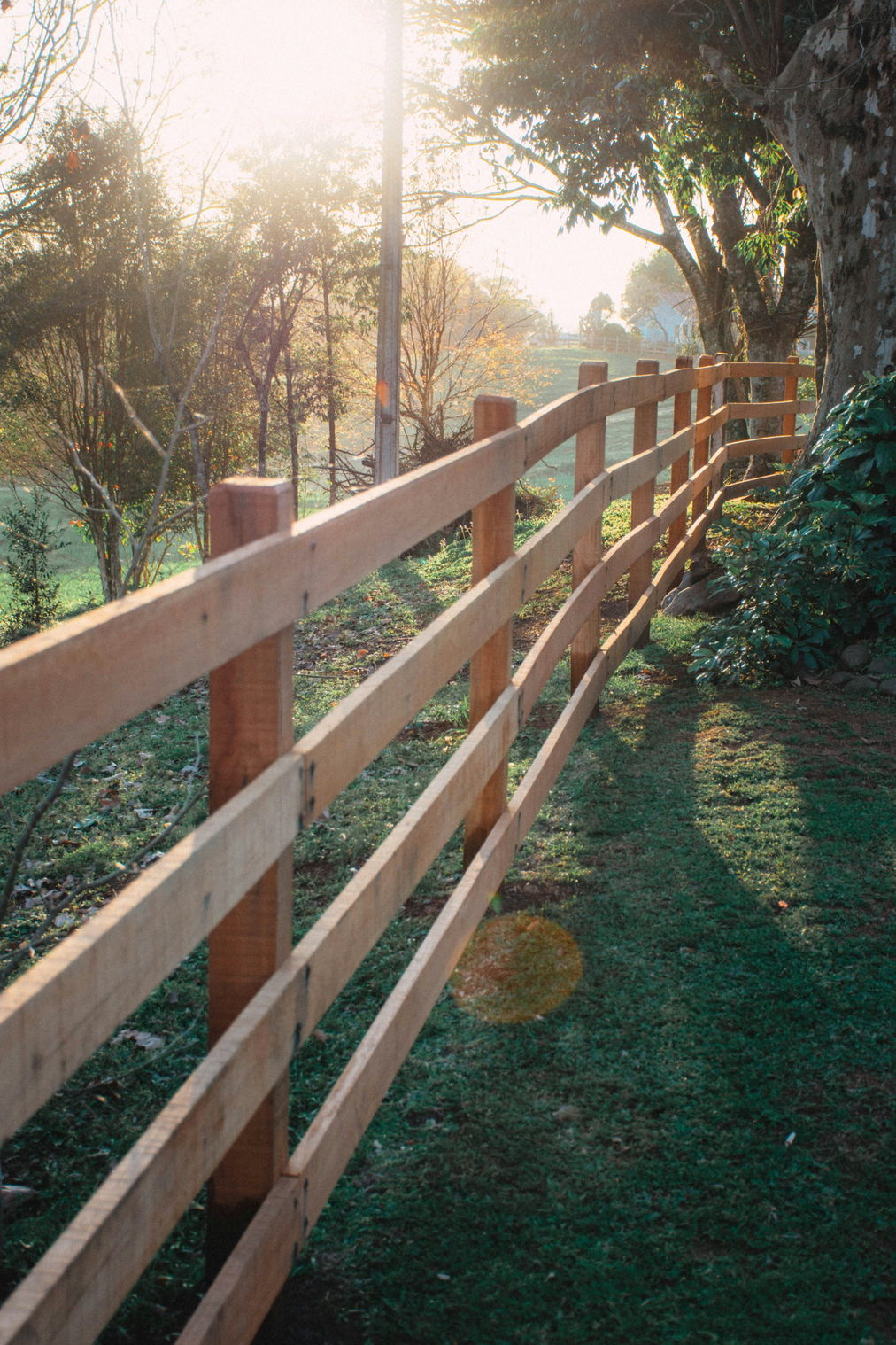A three-rail timber fence curving downhill through grass in low golden backlight