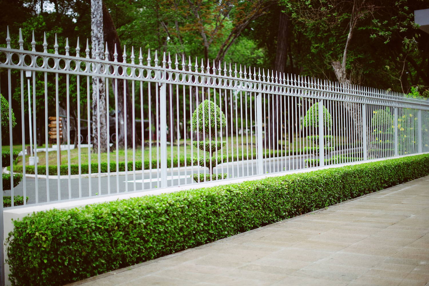A white ornamental picket fence with spear finials running above a clipped hedge along a walkway