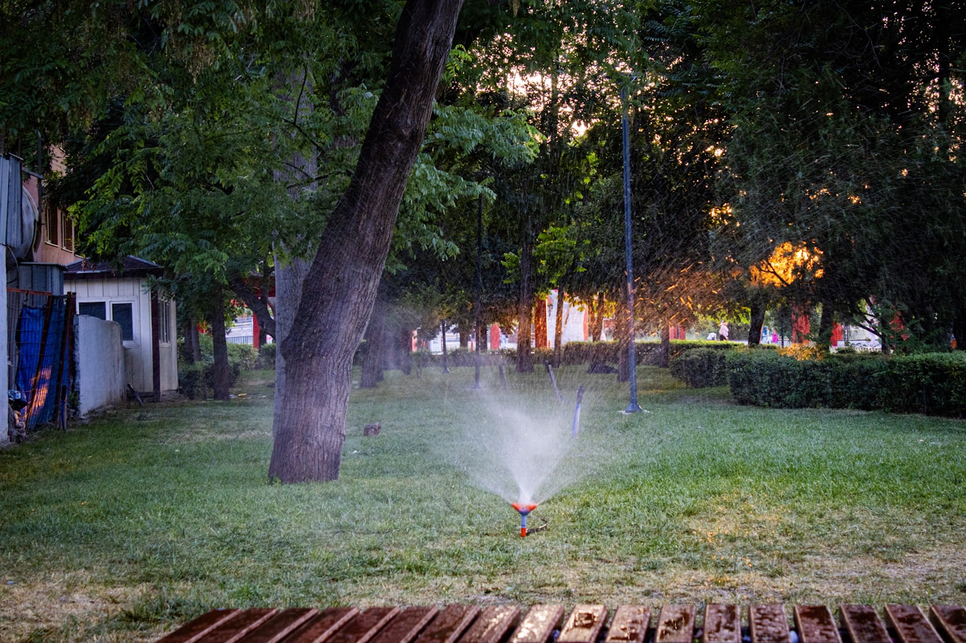 A lawn sprinkler spraying a fine arc of water across a green backyard lawn at dusk