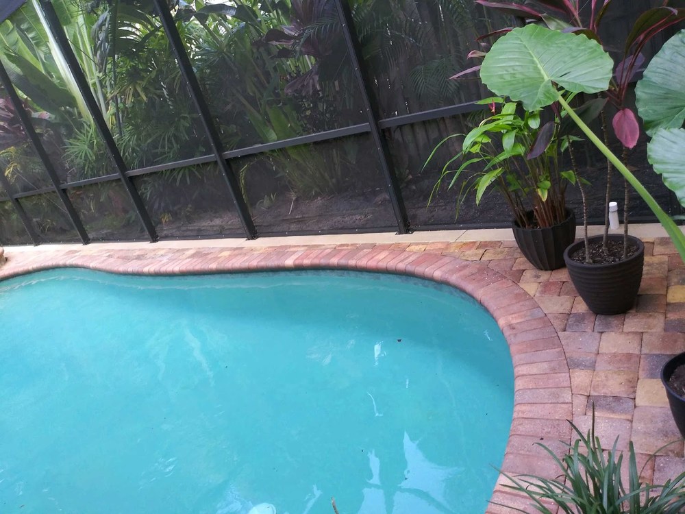 A lush, well-watered screened pool garden with healthy tropical plants