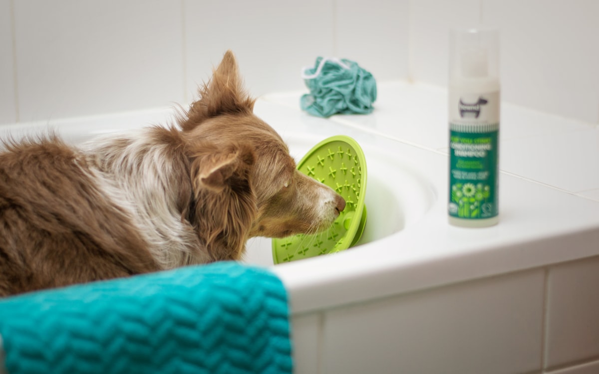 A dog relaxing in a clean grooming tub beside conditioning shampoo and a wash mitt